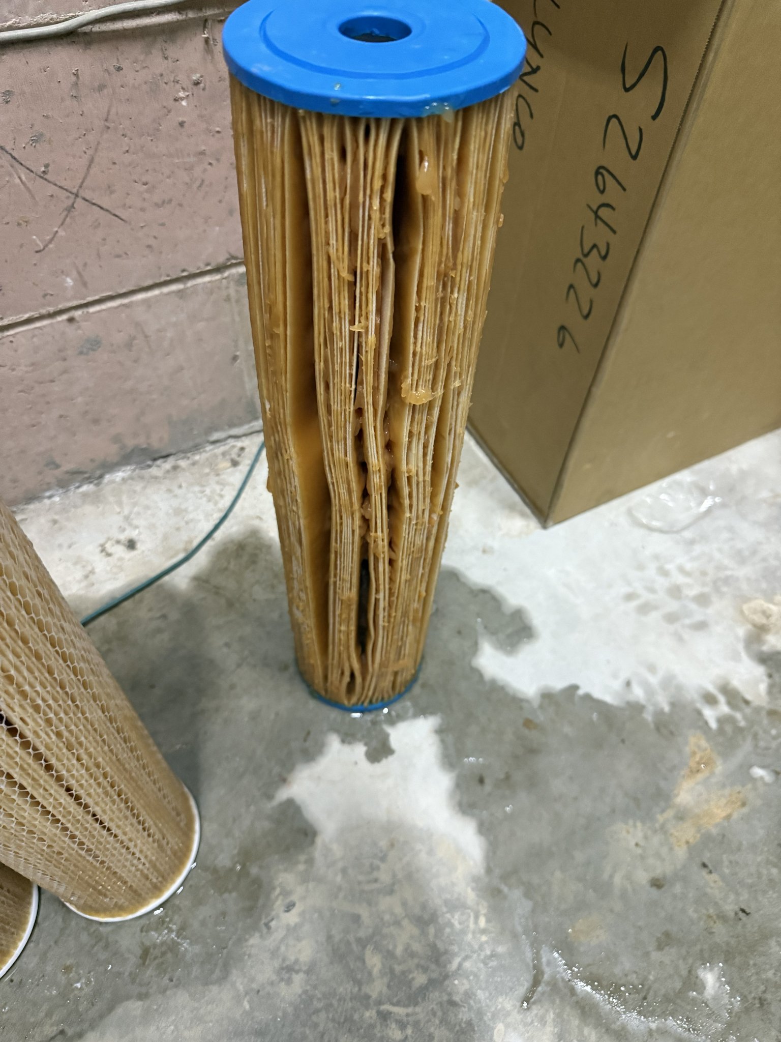 Heavily Fouled Water Filter — Iron & Sediment Buildup