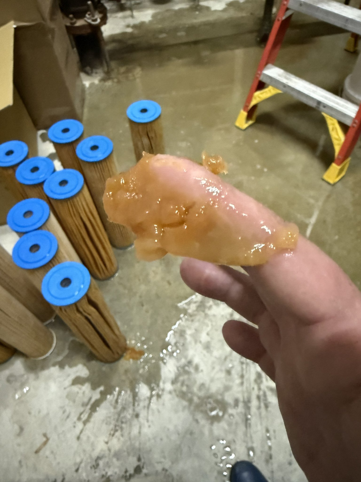 Iron Bacteria Gel from Failed Filter Cartridges